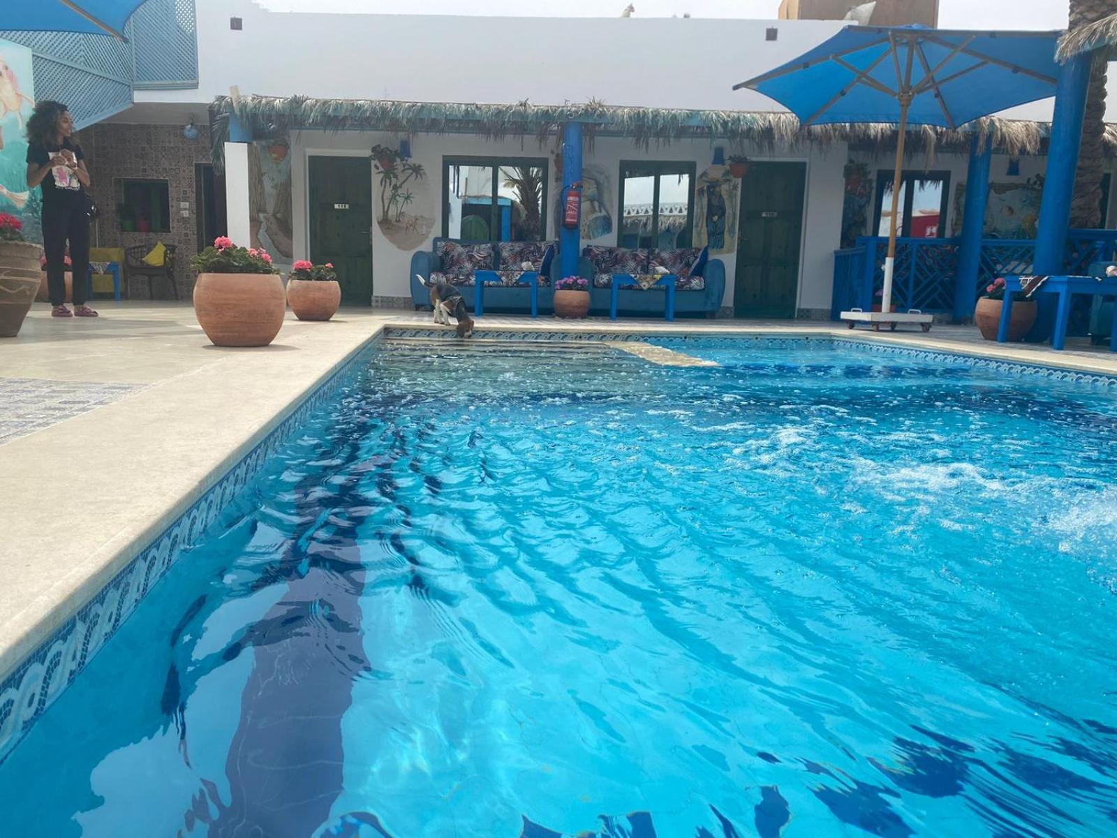 Chillax Dahab Hotel Exterior photo